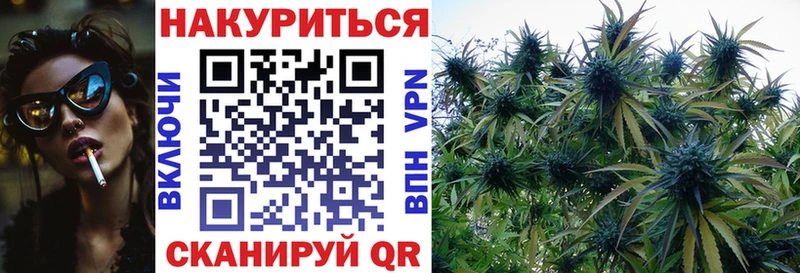 Марихуана тримм  хочу наркоту  Георгиевск 